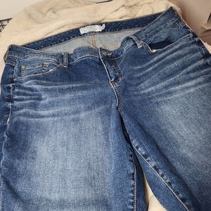 Torrid Jeans